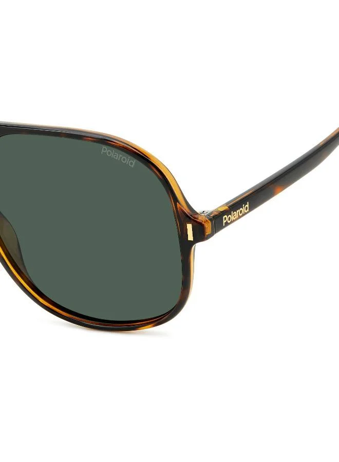 Polaroid  Square Double Bridge Sunglasses Frames  | Best Price UAE